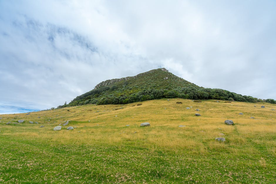 Scenic view of Mount Maunganui in Bay of Plenty, New Zealand, showcasing lush greenery and expansive fields