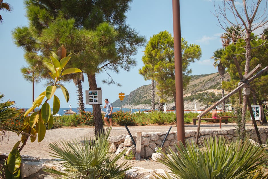 Relaxing seaside promenade in Vlorë County, Albania with lush trees and stone walls.